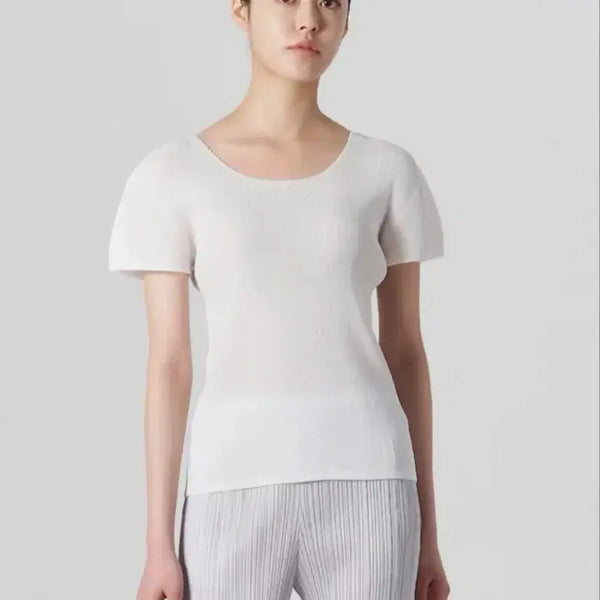 [BUNJANG] Pleats Please Mist Round Short Sleeve T-Shirt Size 3 / 플리츠플리즈 미스트 라운드 반팔 3 텍달린 새상품