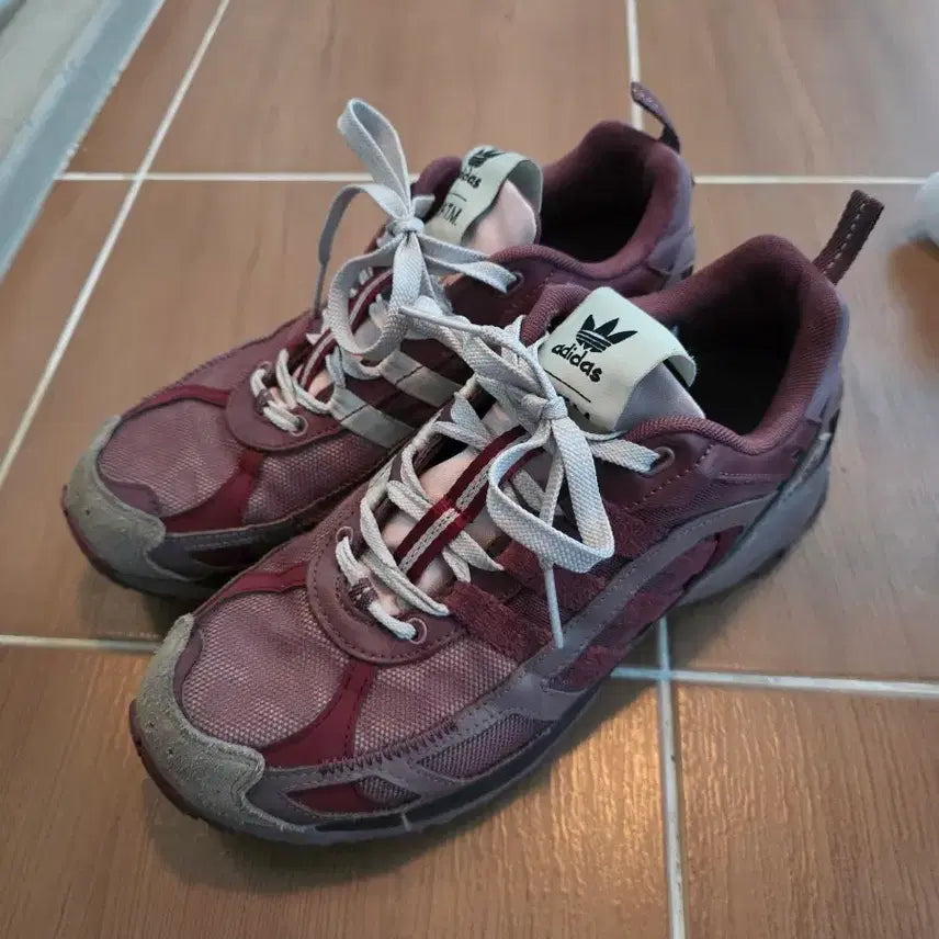 [BUNJANG] Adidas x Song for the Mute Shadowtarp Sneaker Purple Burgundy / [270] 아디다스 x 송포더뮤트 쉐도우터프 퍼플 버건디