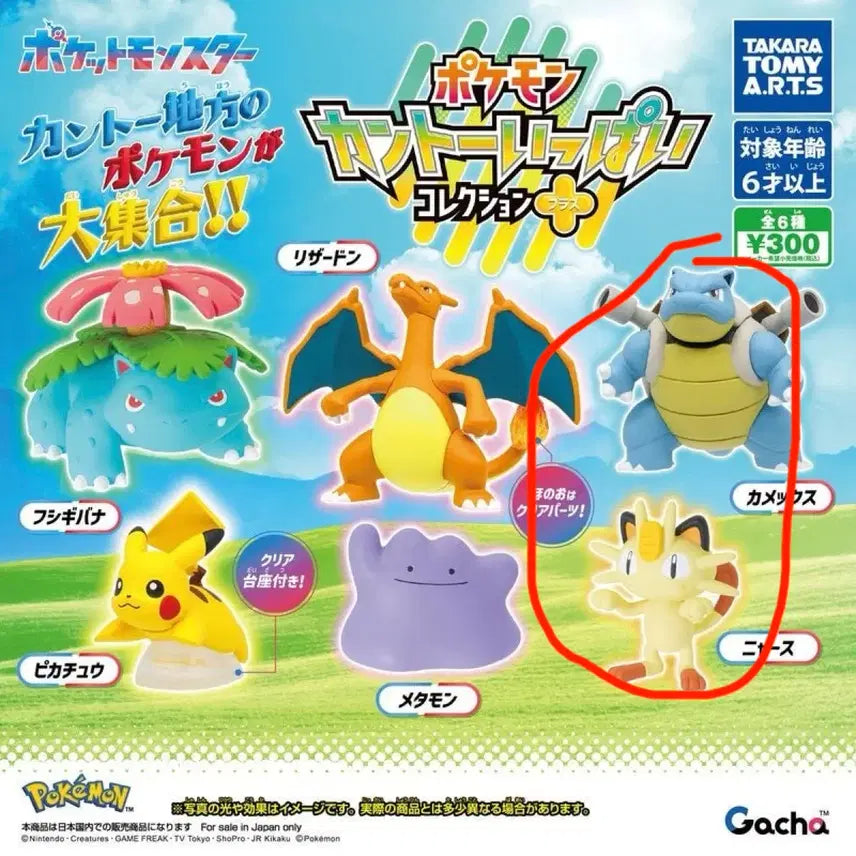 [BUNJANG] Pokemon Kanto Region Collection Gacha / 포켓몬 관동지발 컬렉션 가챠