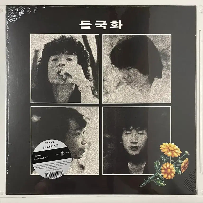 [BUNJANG] Dullkukhwa LP / 들국화 LP