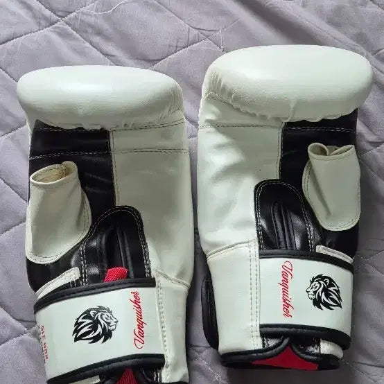 [BUNJANG] Vanquish Boxing Gloves White / 밴퀴셔 복싱 글러브 화이트
