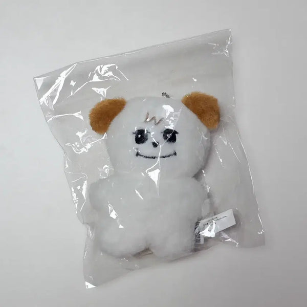 [BUNJANG] Kyuhyun Original Doll / 오리지널 조규매 규매 규현 인형 미개봉