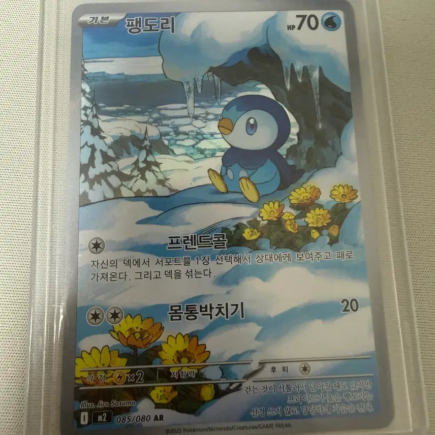 [BUNJANG] Pokemon Card Piplup AR (Near Mint) / 포켓몬카드_팽도리 AR (SS급)