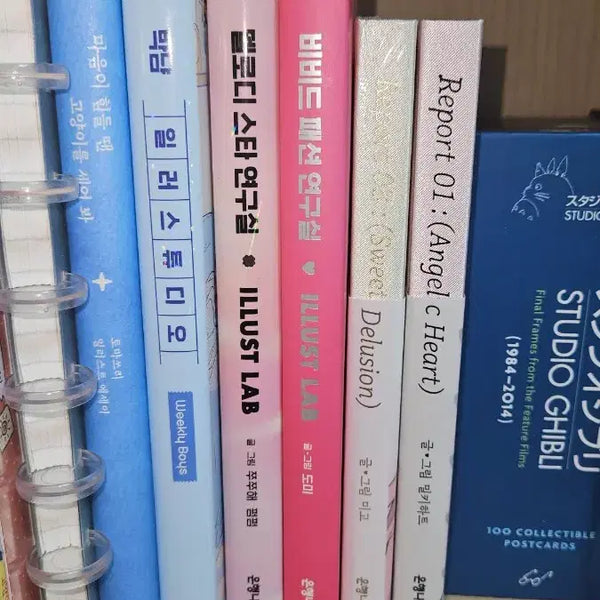 [BUNJANG] Sticker Book Bundle (Yondo, Domi, Parknyam) - 5 Volumes / 스티커북 5궐 일괄 (연도문구, 도미, 박냠)