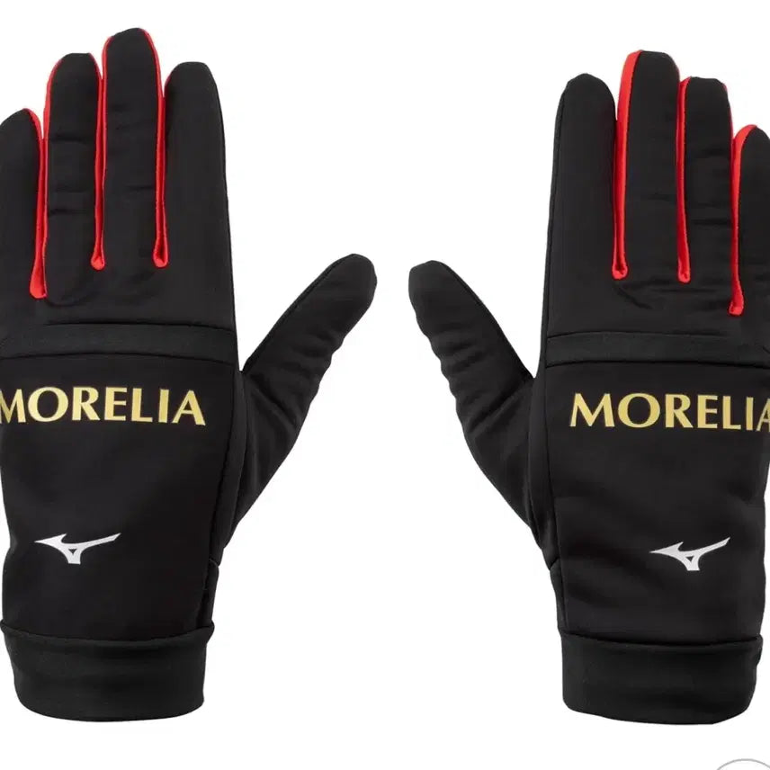 [BUNJANG] Mizuno Morelia Globe Gloves (M) - New, Rare Item / 미즈노 모렐리아 글로브 장갑 M 새상품 레어템 판매