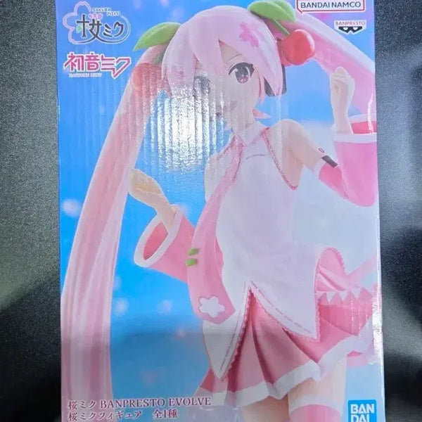 [BUNJANG] EVOLVE Sakura Miku Sealed Figure / EVOLVE 사쿠라 미쿠 피규어 미개봉