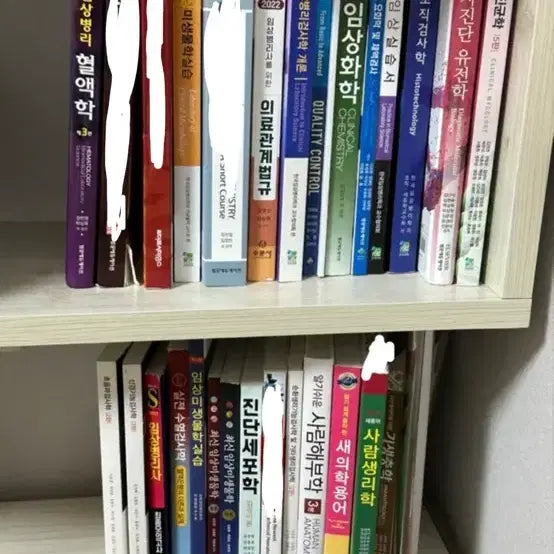 [BUNJANG] Clinical Pathology Major Textbooks Bundle / 임상병리학과 전공서적