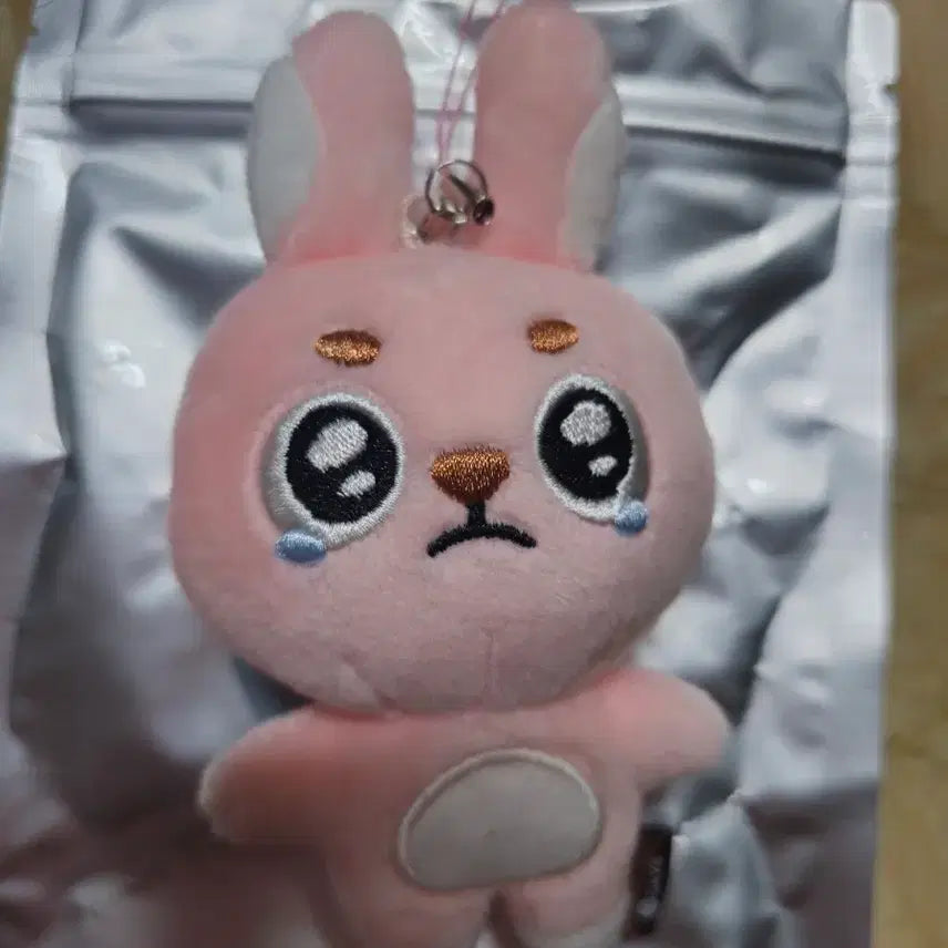 [BUNJANG] Day6 Wonpil Unfiltered Solo Concert MD Mini Plush Keyring Ppuengpil Pilkk / (반택포) 데이식스 원필 언필터드 솔콘 엠디 키링 뿌엥필 필끼