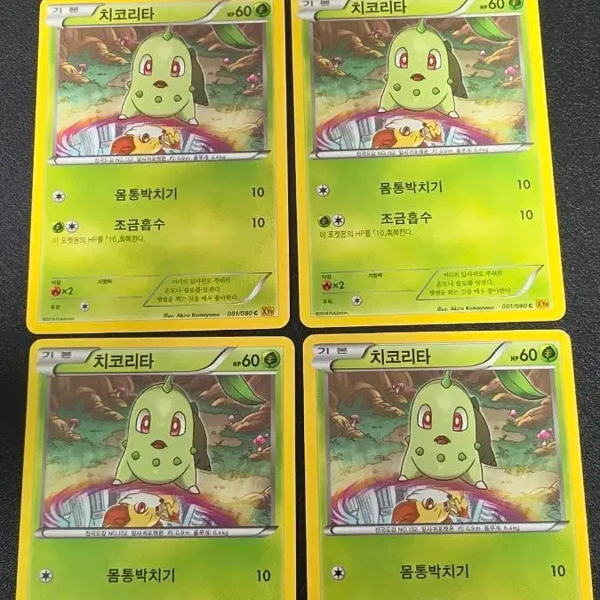 [BUNJANG] Pokemon Card Chikorita XY9 001 / 포켓몬 카드 치코리타 xy9 001