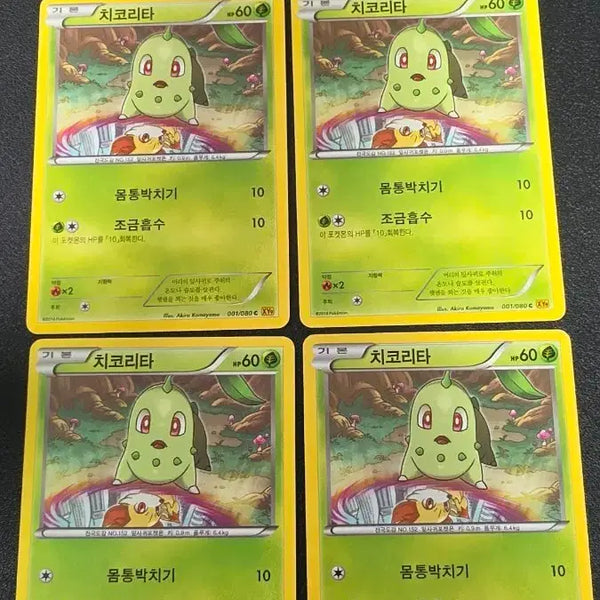 [BUNJANG] Pokemon Card Chikorita XY9 001 / 포켓몬 카드 치코리타 xy9 001
