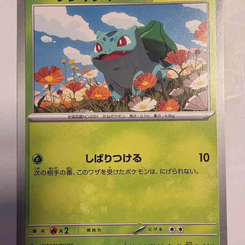 [BUNJANG] Pokemon Card Japanese Bulbasaur / 포켓몬카드 일판 이상해씨