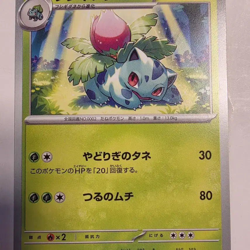 [BUNJANG] Pokemon Card Japanese Venusaur / 포켓몬카드 일판 이상해풀
