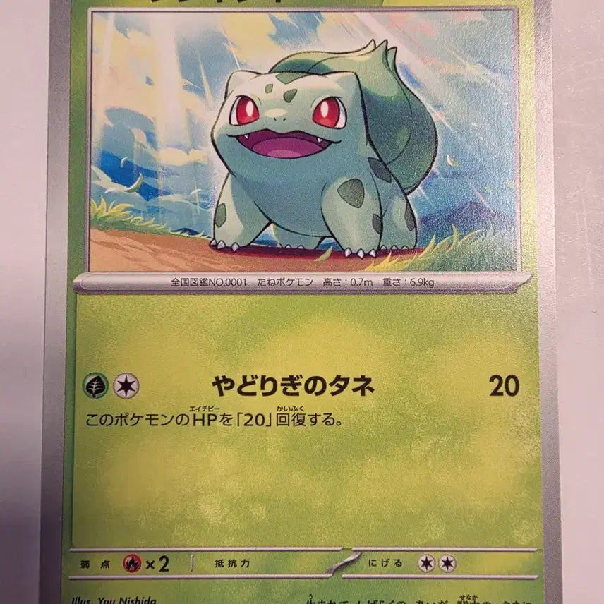 [BUNJANG] Pokemon Card Japanese Bulbasaur / 포켓몬카드 일판 이상해씨