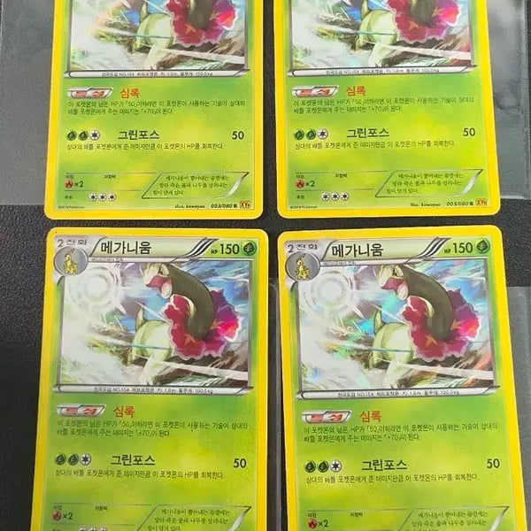 [BUNJANG] Pokemon Card Meganium R XY9 003 / 포켓몬 카드 메가니움 R xy9 003
