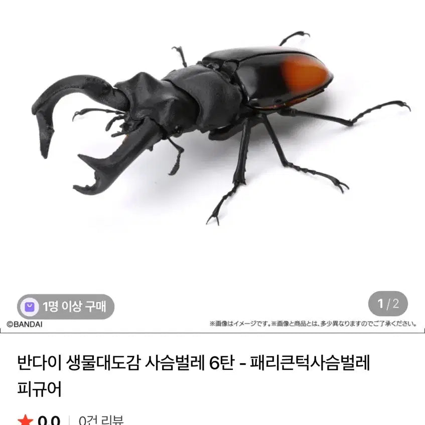 [BUNJANG] Bandai Stag Beetle Model / 반다이: 패리큰턱 사슴벌레