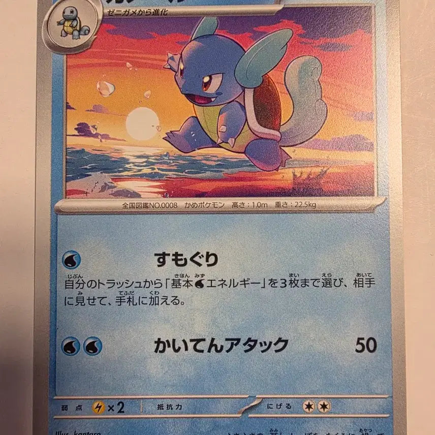 [BUNJANG] Pokemon Card Japanese Turtwig / 포켓몬카드 일판 어니부기