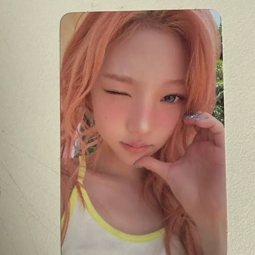 [BUNJANG] Stella / 스텔라