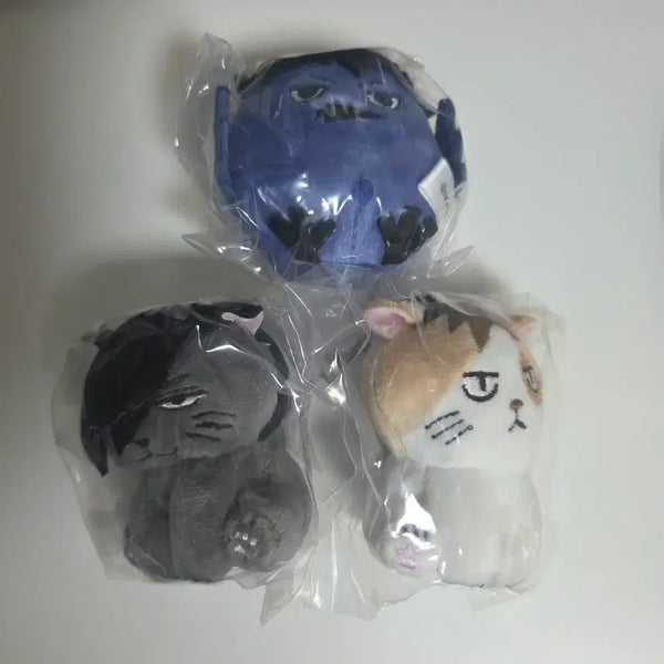 [BUNJANG] Haikyuu!! Gacha Bundle Set / 하이큐 가챠 일괄