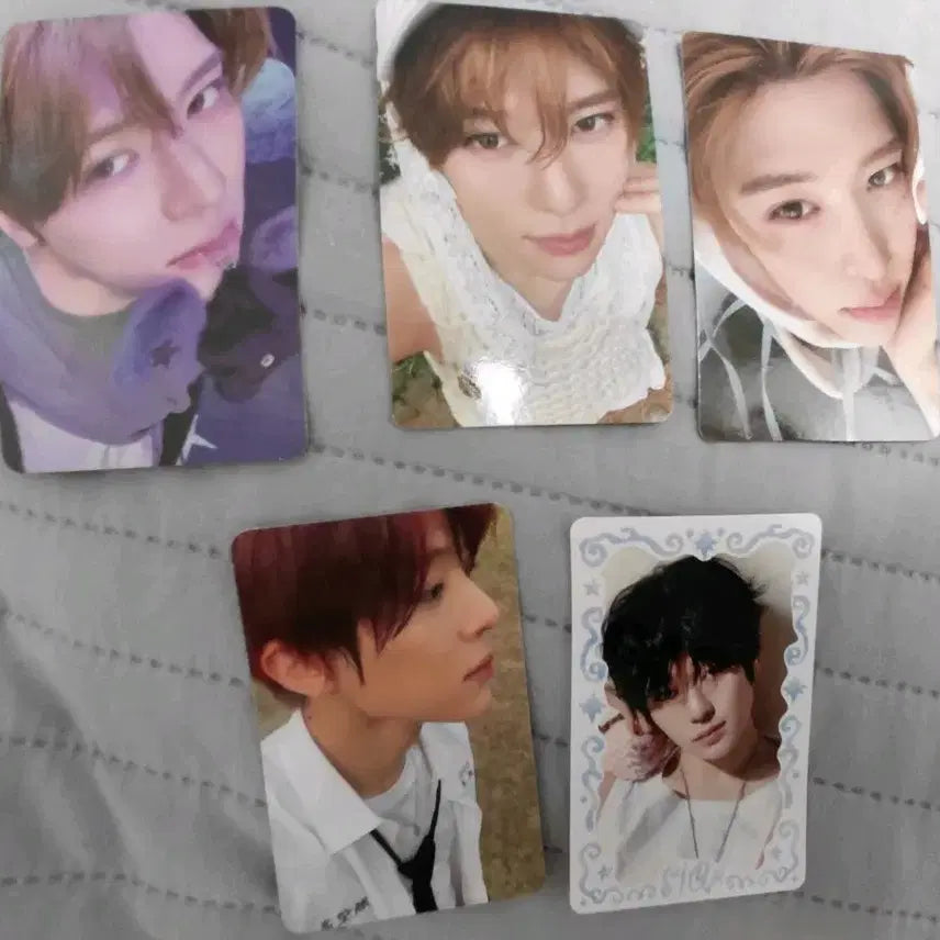 [BUNJANG] NCT WISH YUSHI Odd To Love Photocard Bundle Set (Includes First Press Limited) / 엔시티위시 오드투러브 시온 포카 일괄(초회한정포함)