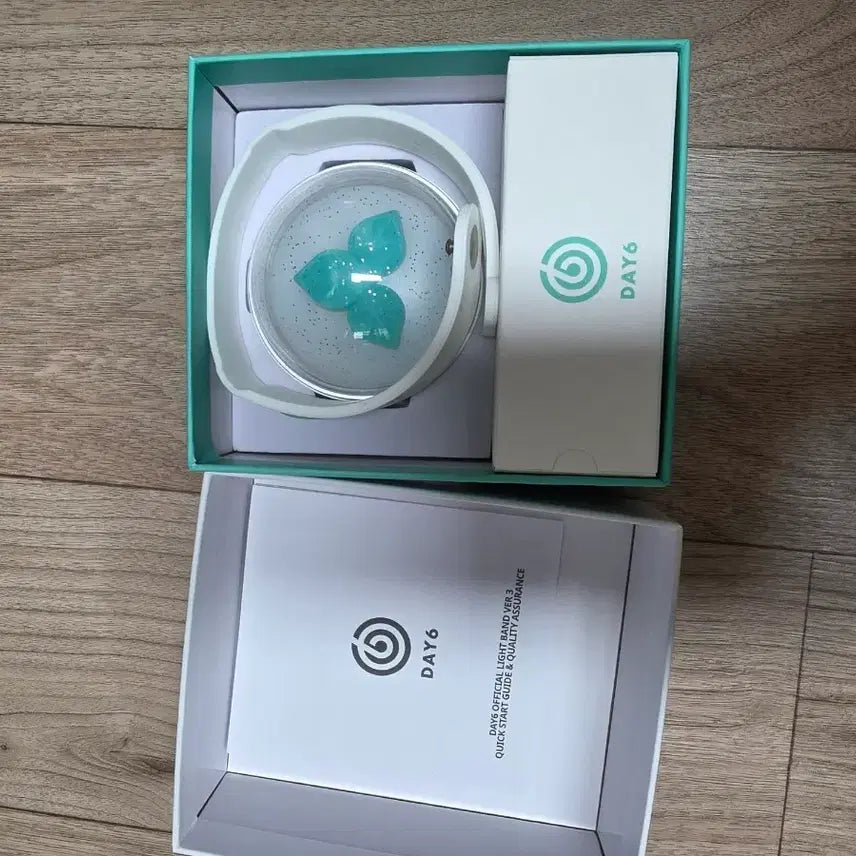 [BUNJANG] Day6 Lightstick & Young K Version Strap / 데이식스 응원봉
