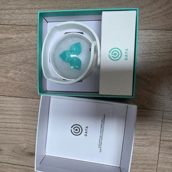 [BUNJANG] Day6 Lightstick & Young K Version Strap / 데이식스 응원봉