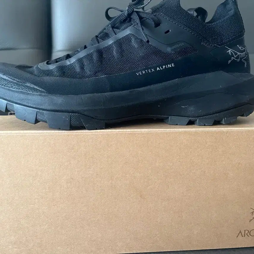 [BUNJANG] Arc'teryx Gore-Tex Vertex Alpine GTX 270 / 아크테릭스 고어텍스 버텍스 알파인 gtx 270