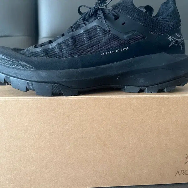 [BUNJANG] Arc'teryx Gore-Tex Vertex Alpine GTX 270 / 아크테릭스 고어텍스 버텍스 알파인 gtx 270