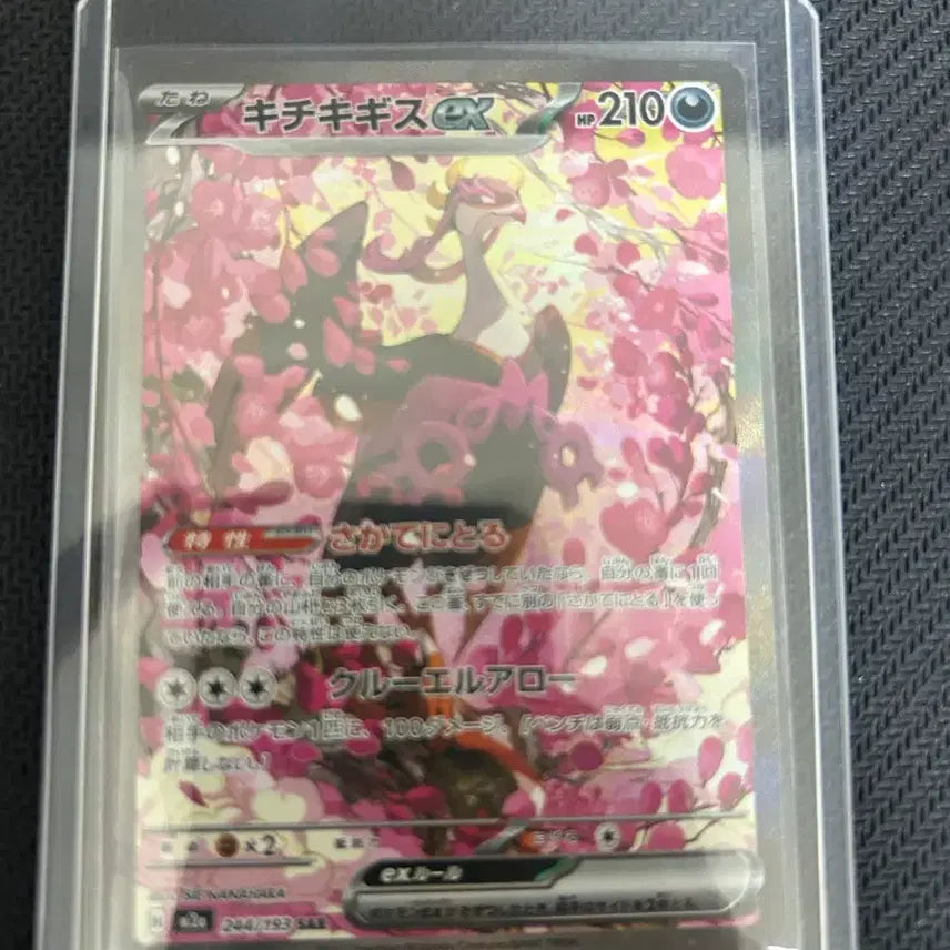 [BUNJANG] Pokemon Card Groudon ex SAR Japanese Edition / 포켓몬카드 기로치 ex SAR 일본판