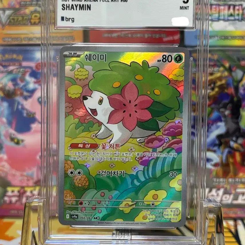 [BUNJANG] Shaymin AR Graded Card (BGS 9) / 포켓몬카드 brg9 쉐이미 AR