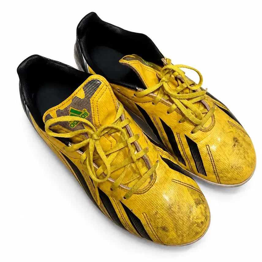 [BUNJANG] Adidas F10 FG Soccer Cleats / [아디다스] F10 축구화