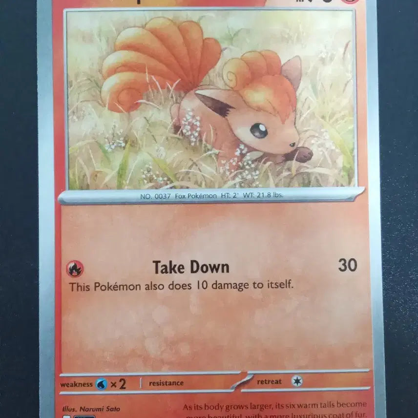 [BUNJANG] Pokemon Card Vulpix 016/191 (North American Edition) / 북미판 포켓몬 카드 식스테일 016/191