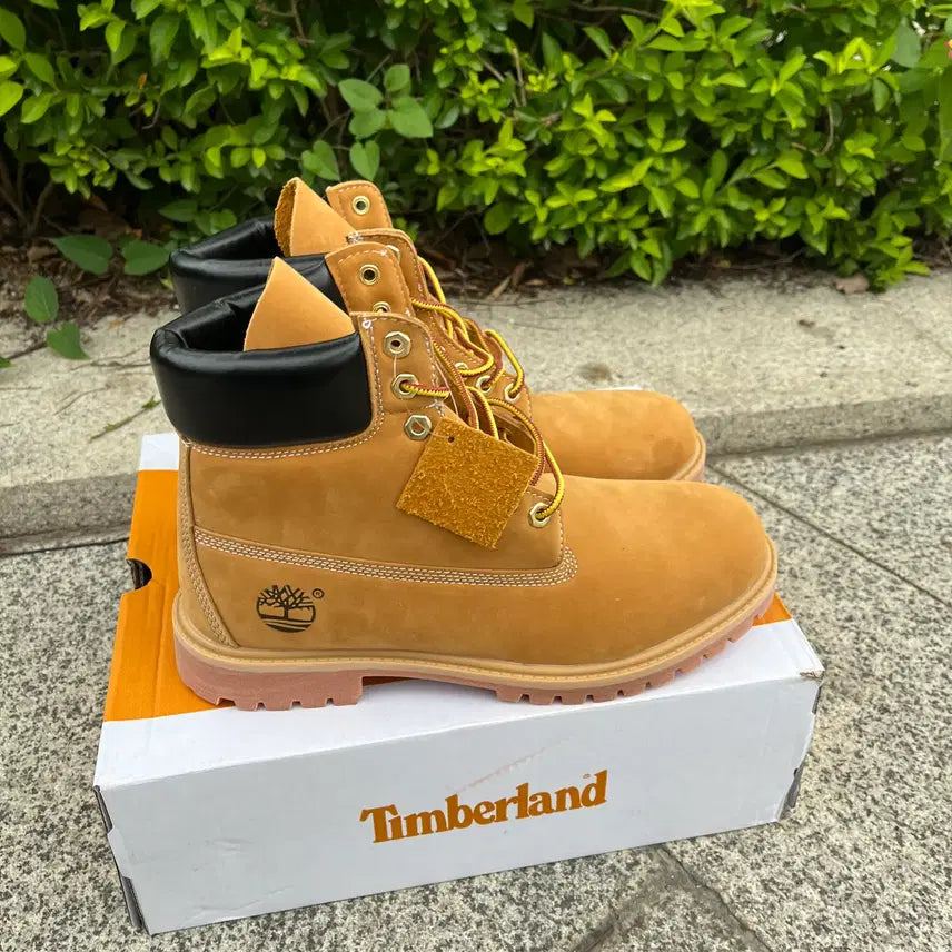 [BUNJANG] Timberland Premium 6-Inch Waterproof Boots Wheat Nubuck Wide 260mm / 팀버랜드 프리미엄 6인치 워터프루프 부츠 위트 누벅 - 와이드 260mm