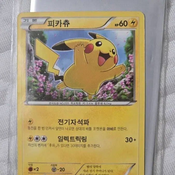 [BUNJANG] Pikachu 2016 Promotional Card / 피카츄 2016 프로모 카드 [판매&교신]