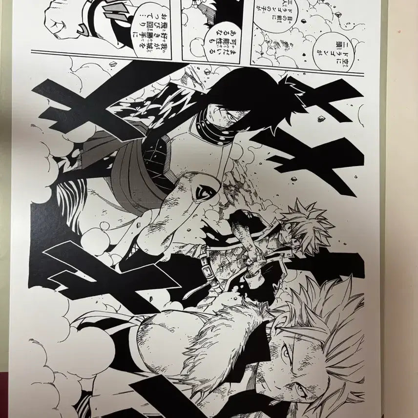 [BUNJANG] Fairy Tail Reglica Genga / 페어리테일 reglica genga 복제원화 2장