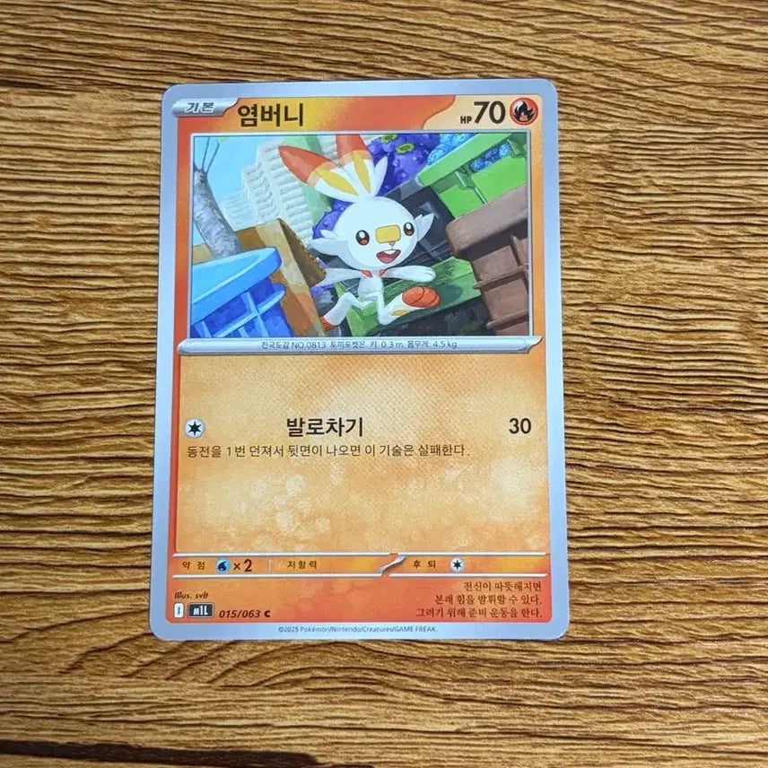 [BUNJANG] Pokemon Scorbunny Common Card / 포켓몬카드 염버니 일반카드