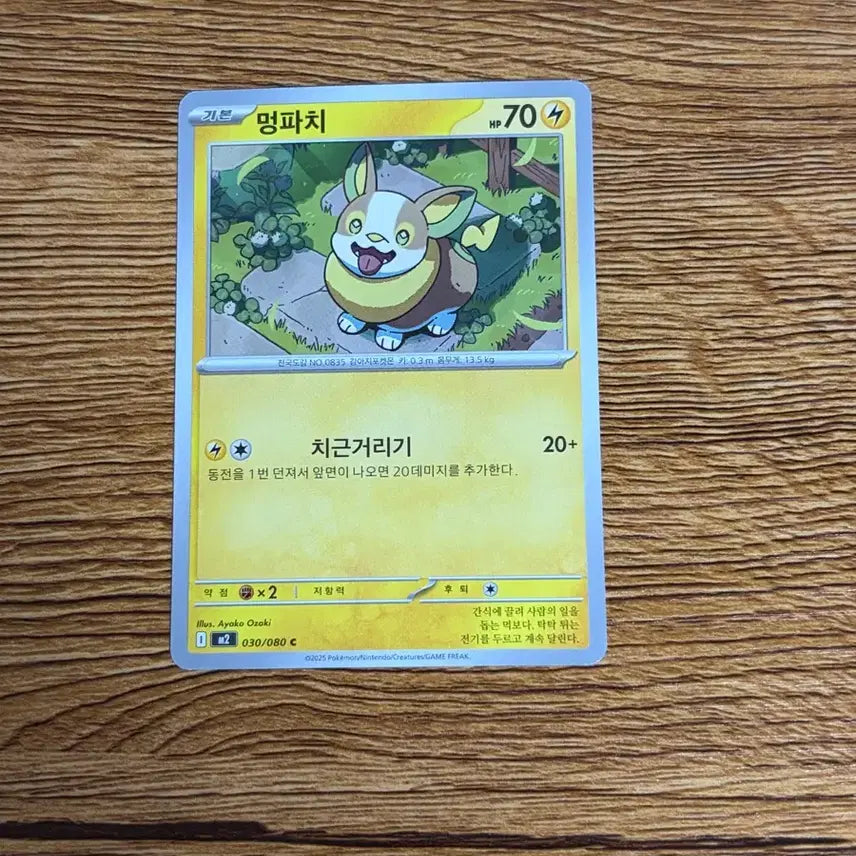 [BUNJANG] Pokemon Card Dunsparce Common Card / 포켓몬카드 멍파치 일반카드