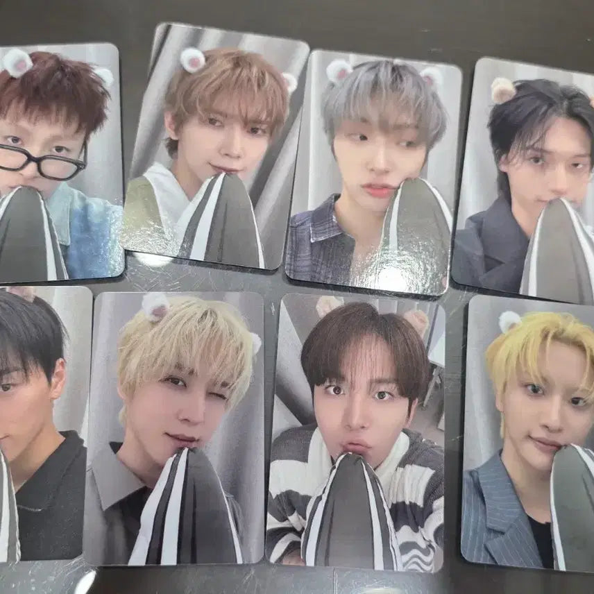 [BUNJANG] Apple Music Hamsterz POB 8-Member Set Photocard / 애플뮤직 햄스티즈 미공포 8장set 양도