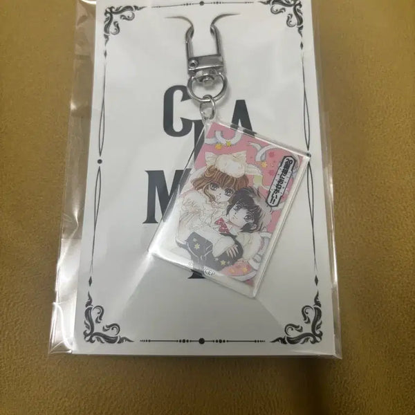[BUNJANG] CLAMP Character Random Keyring: Ask of the 20 Faces / 클램프전랜덤키링 20면상에게부탁해키링