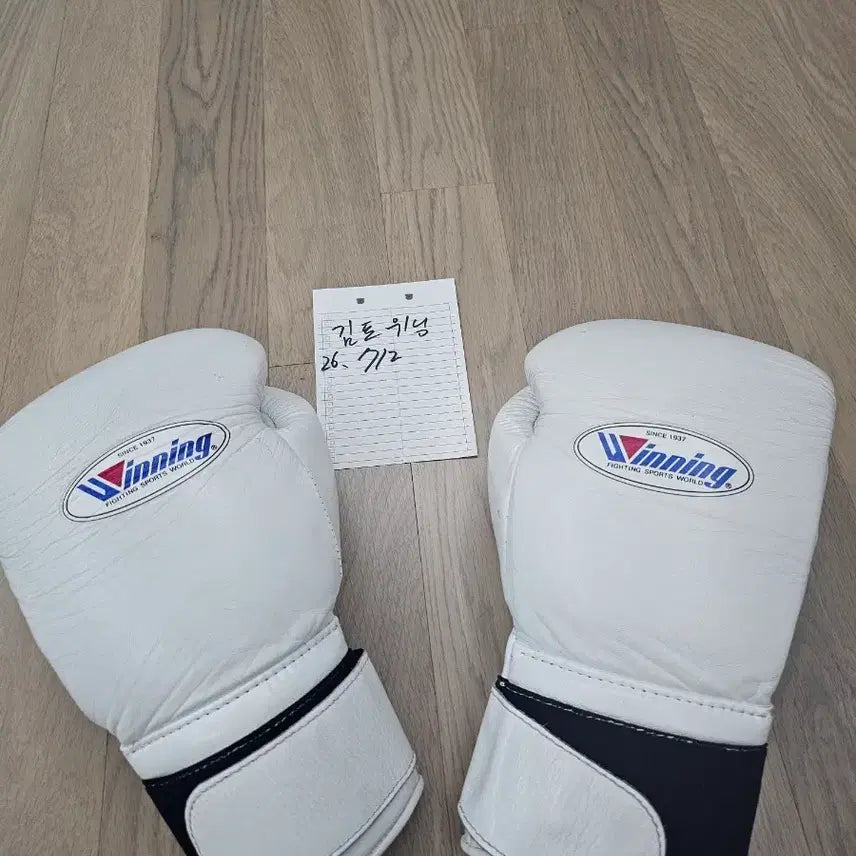 [BUNJANG] Winning 14oz Boxing Gloves / 위닝 14온스