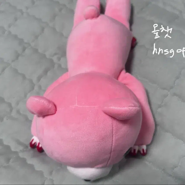 [BUNJANG] Gloomy Bear Plush Doll / 글루미베어 누이구루미 인형 누이 양도 판매