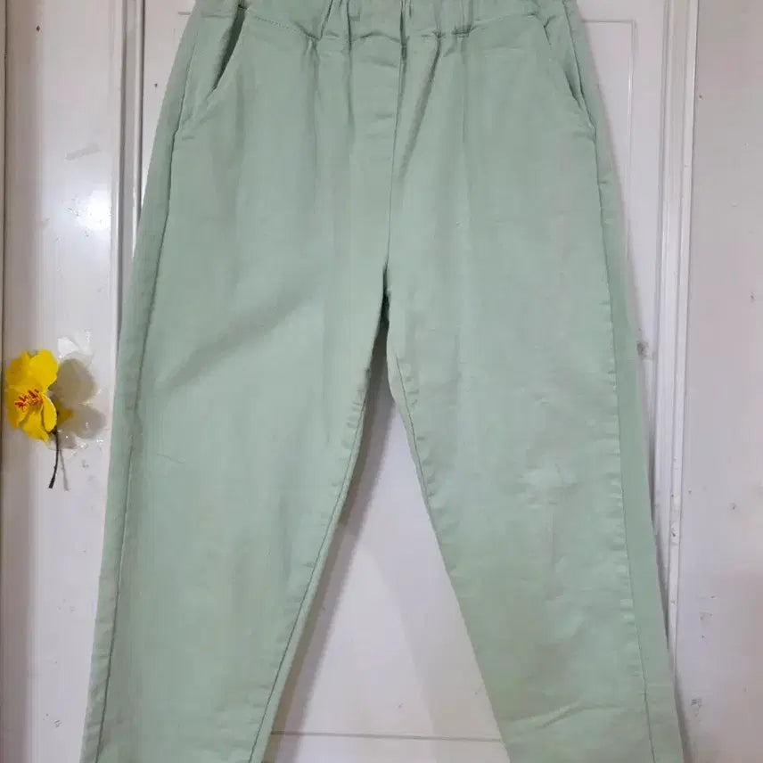 [BUNJANG] Mint Banding Wide Leg Cotton Pants / 봄. 여름. 고급스러운 핏이이쁜  면. 스판 밴딩 면베기통바지