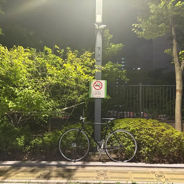 [BUNJANG] Veloline Rah Bicycle / 벨로라인 라흐 판매/대차