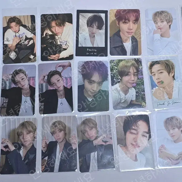 [BUNJANG] Park Ji Hoon Album Photocard Bundle Set (POB, Advertisement) / 박지훈 앨범 포카 미공포 광고포카 일괄양도