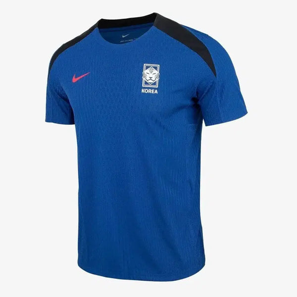 [BUNJANG] Nike 2024-2026 National Team Training Top (Men's L) / [L] 24-26 국대 트레이닝탑 지급용 ADV(FJ1908-418)
