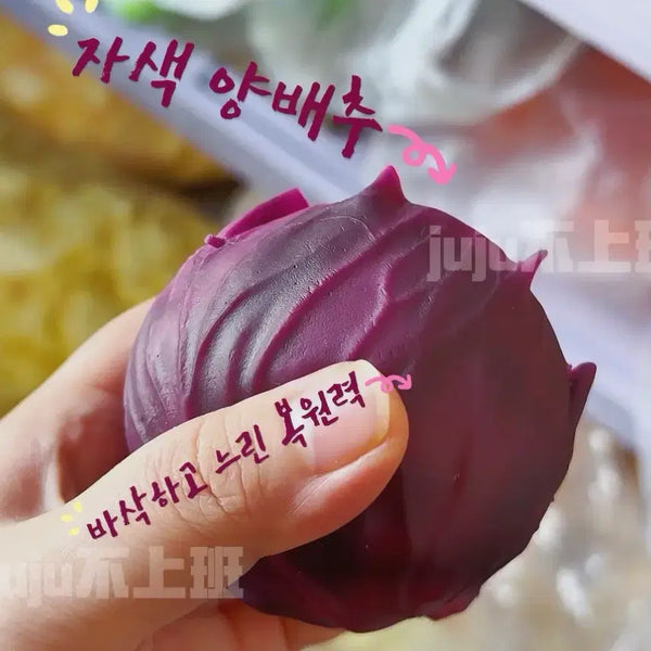 [BUNJANG] Red Cabbage Plush Toy / 적양배추 슬랑이 크런치말랑이