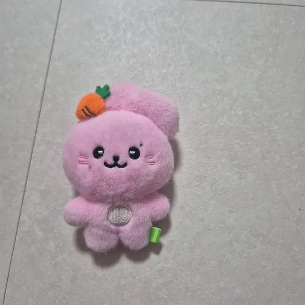[BUNJANG] fromis_9 Park Ji-won Doll (Unsealed) / 프로미스나인 박지원 인형 팝니다