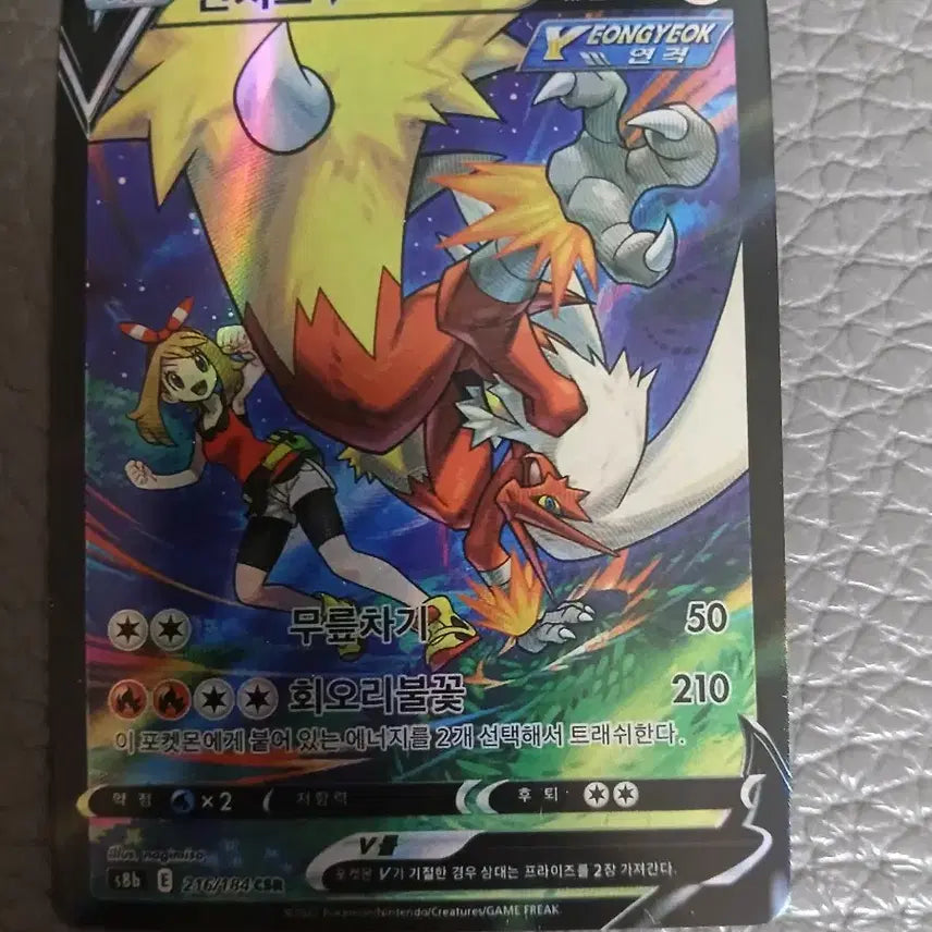 [BUNJANG] Bunchiko V Rare Card / 번치코 v