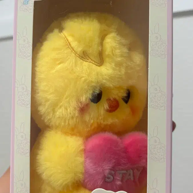 [BUNJANG] Bbokari Voice Teddy Photocard Holder / 뽁아리 보이스 테디