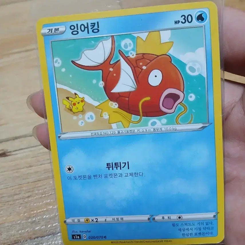 [BUNJANG] Pokemon Card Magikarp Kanahei Illustration Card / 포켓몬카드/ 잉어킹 카나헤이