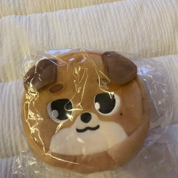 [BUNJANG] Day6 Pouch / Day6-돈 파우치